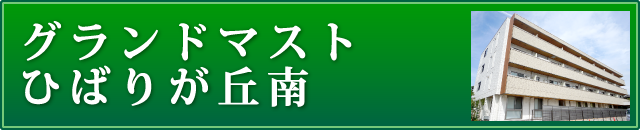 グランドマストひばりが丘南